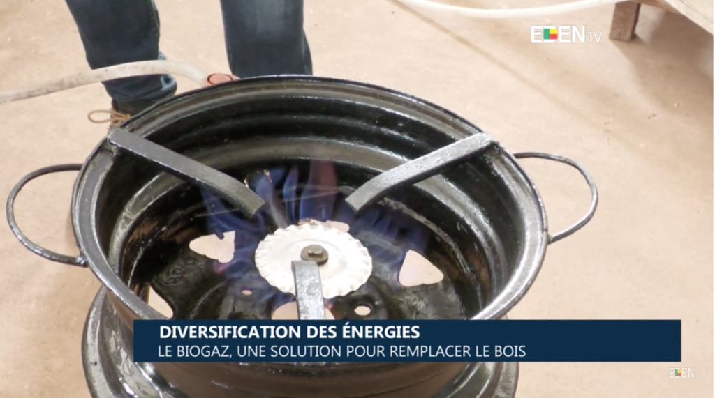 Diversification des énergies : le biogaz, une solution pour remplacer le bois