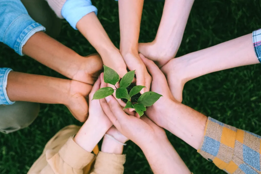 “Building Bridges: Harnessing the Power of Skills Volunteering for Social Impact”